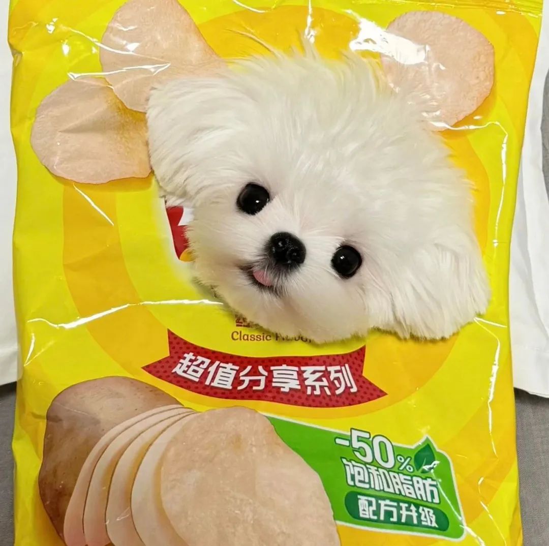 头像｜滴滴滴 宝~换头像啦