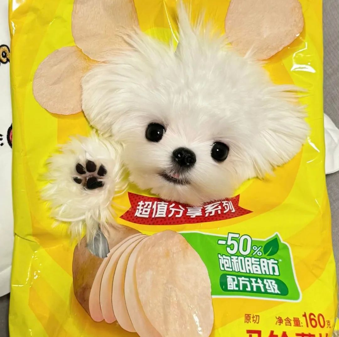 头像｜滴滴滴 宝~换头像啦