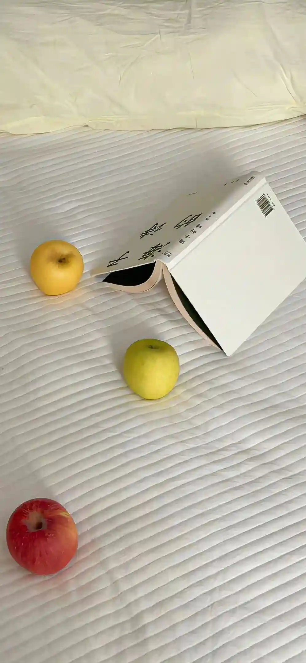 壁纸 | 手机壁纸