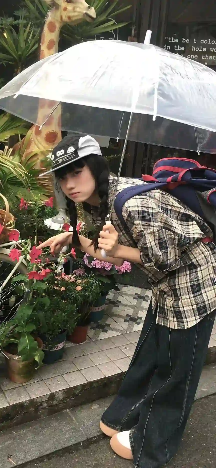 壁纸 | 手机壁纸
