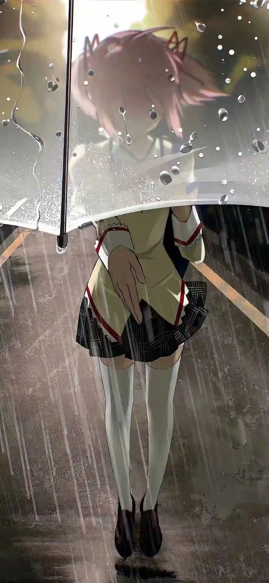 壁纸 | 快来换一波壁纸吧