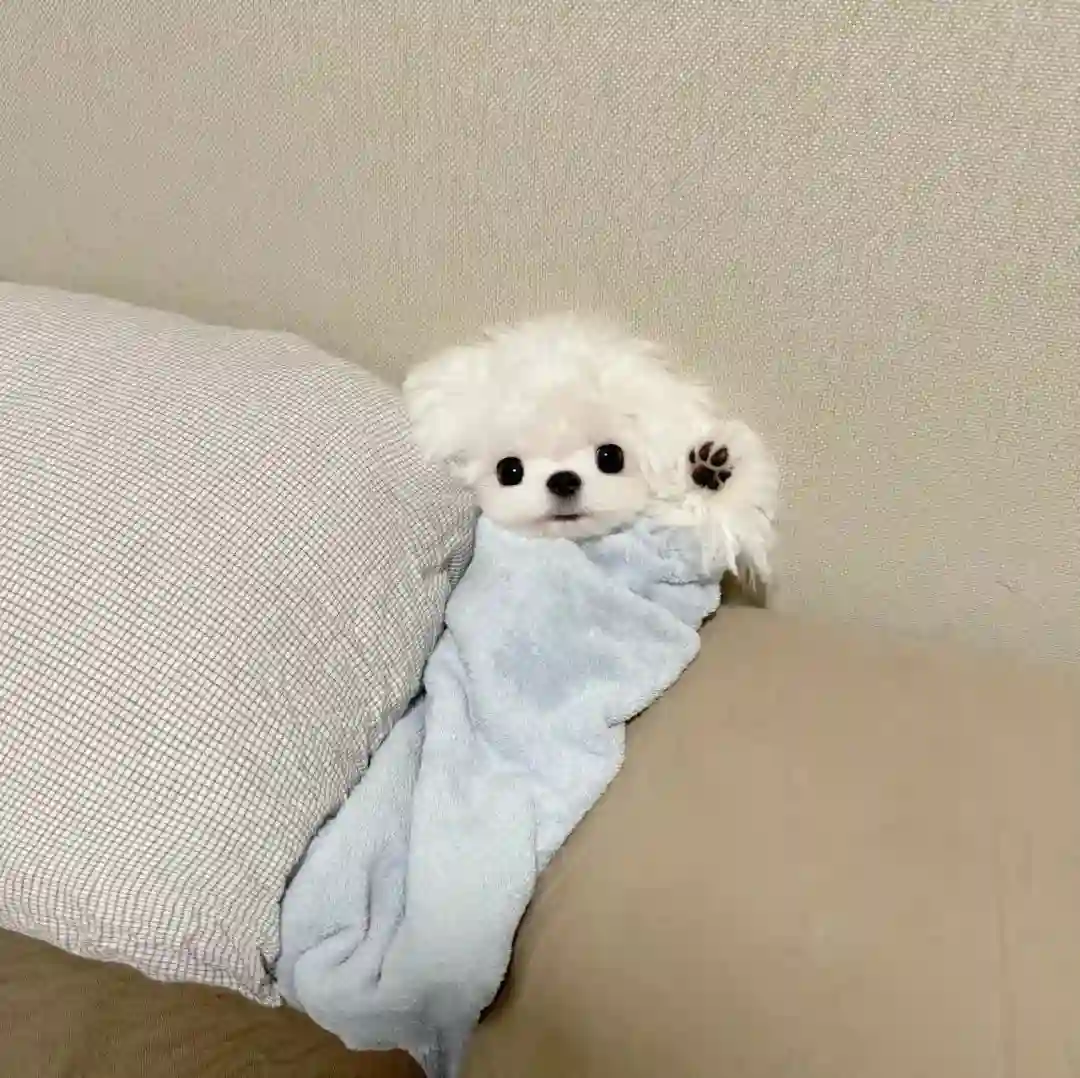 头像丨奇奇怪怪的头像