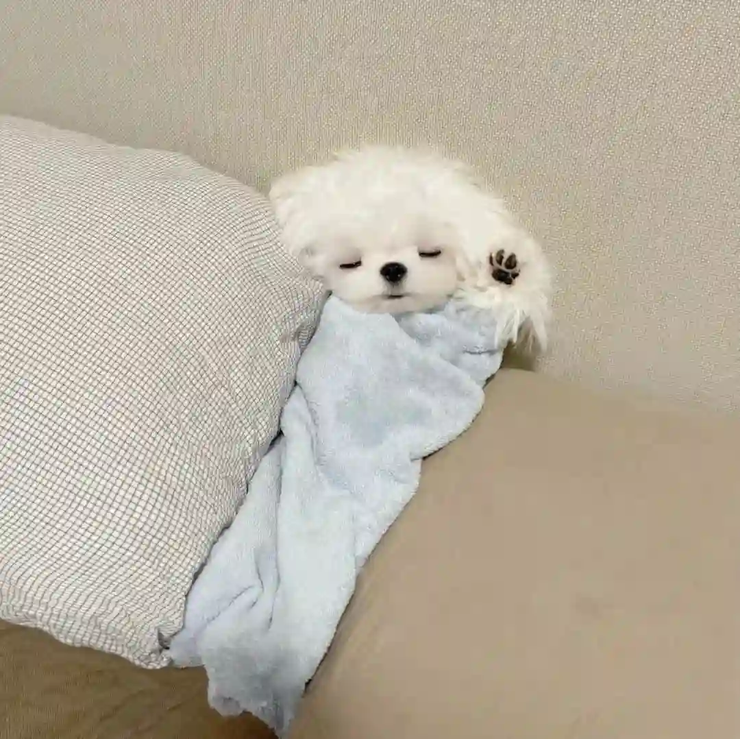 头像丨奇奇怪怪的头像