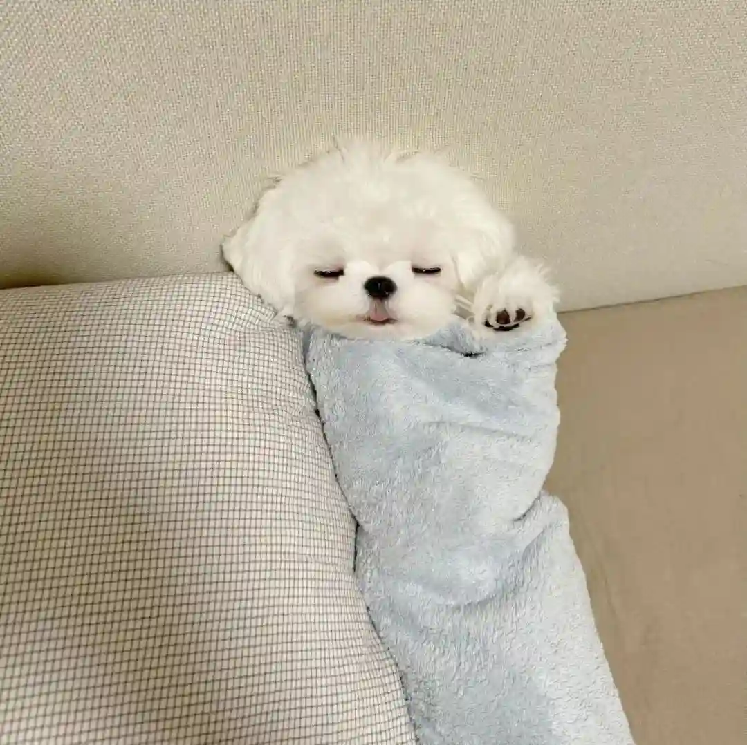 头像丨奇奇怪怪的头像