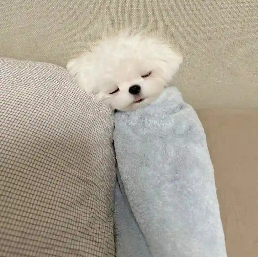 头像丨奇奇怪怪的头像