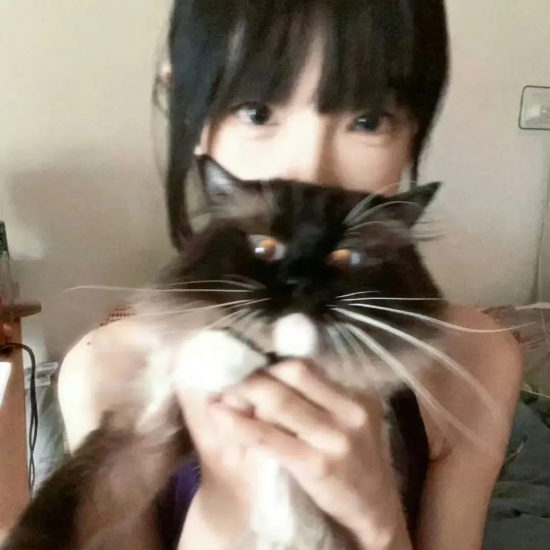 背景图 | 超好看的头像背景套图搭配