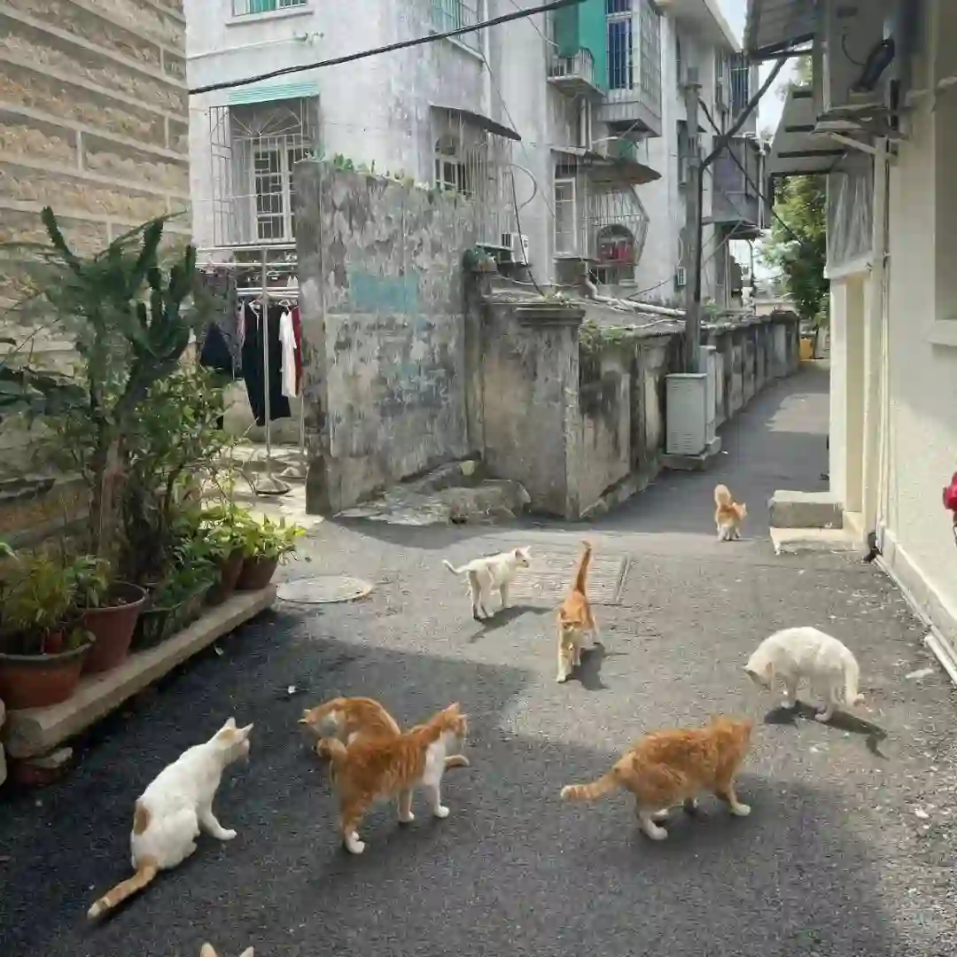 背景图 | 超好看的头像背景套图搭配