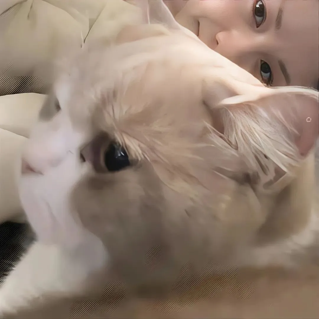 头像丨单人但明显情头