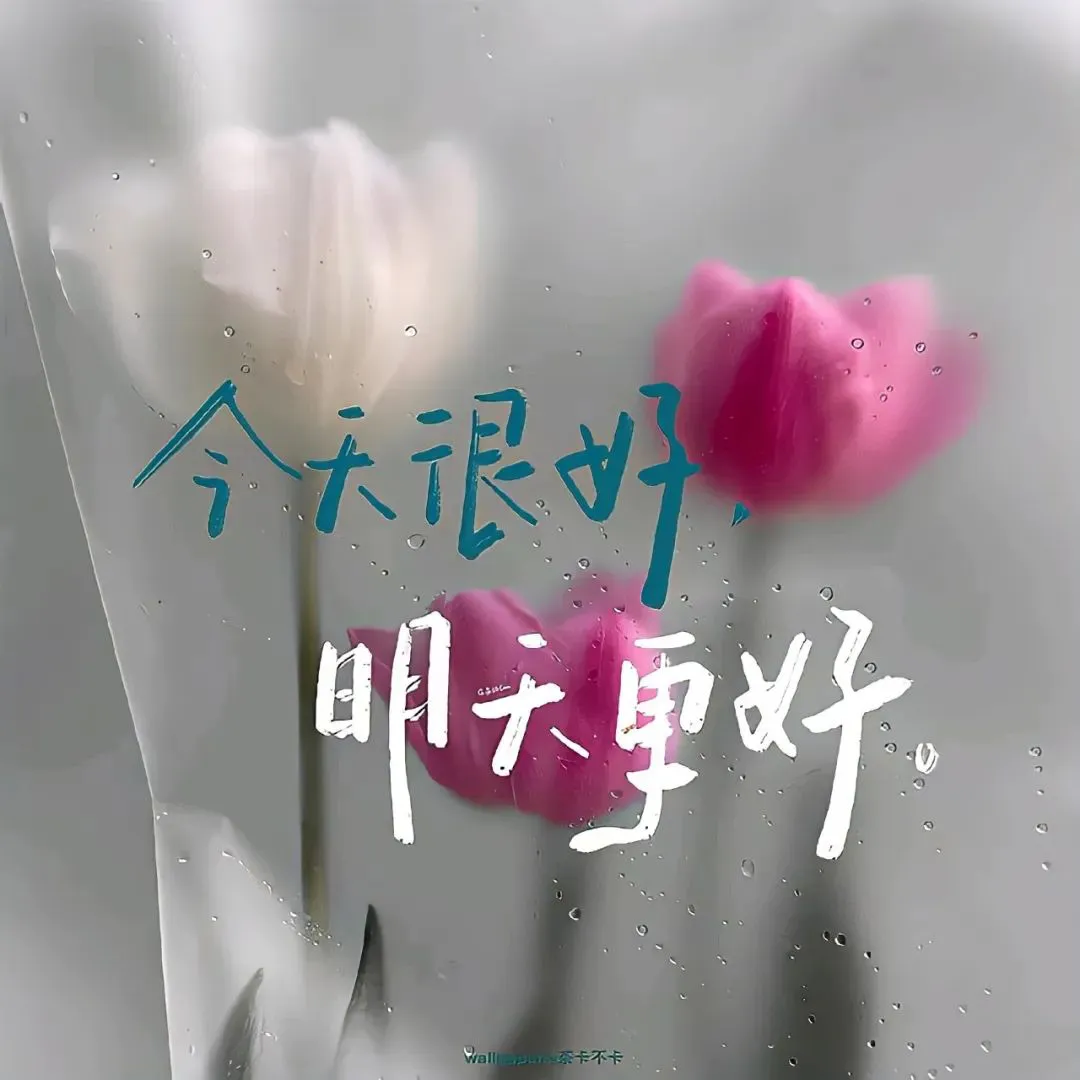 背景 | 朋友圈背景图