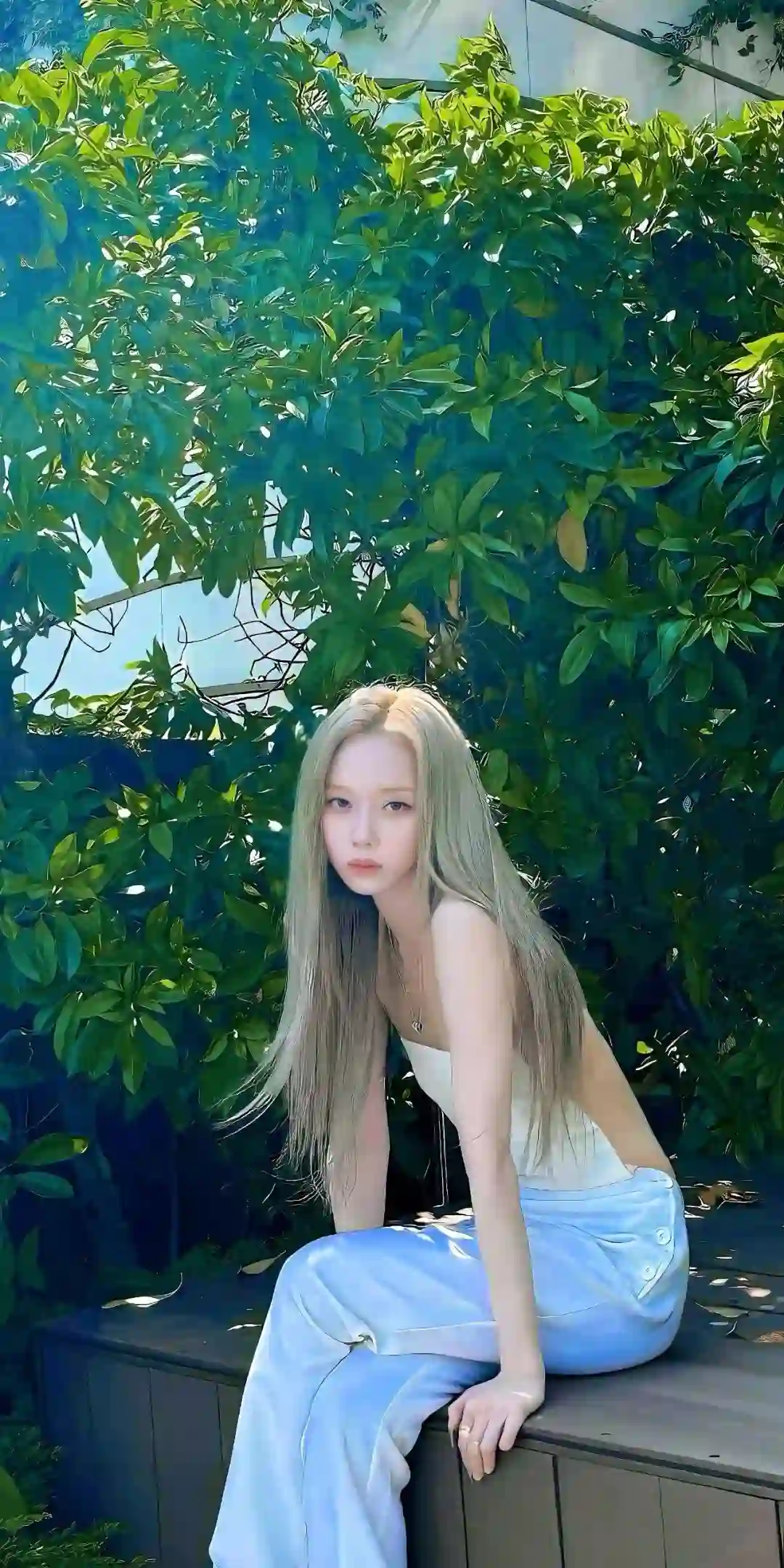 壁纸 | 手机壁纸