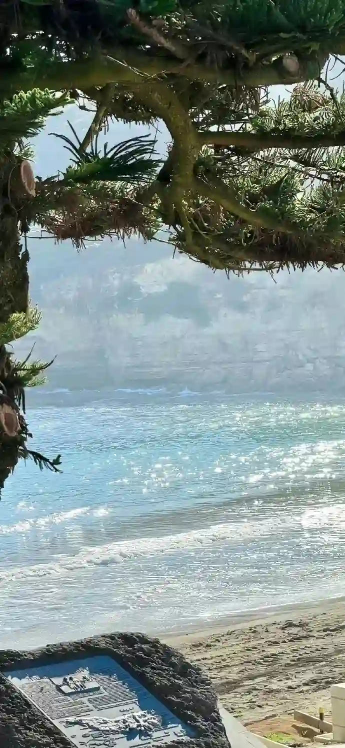 壁纸 | 手机壁纸