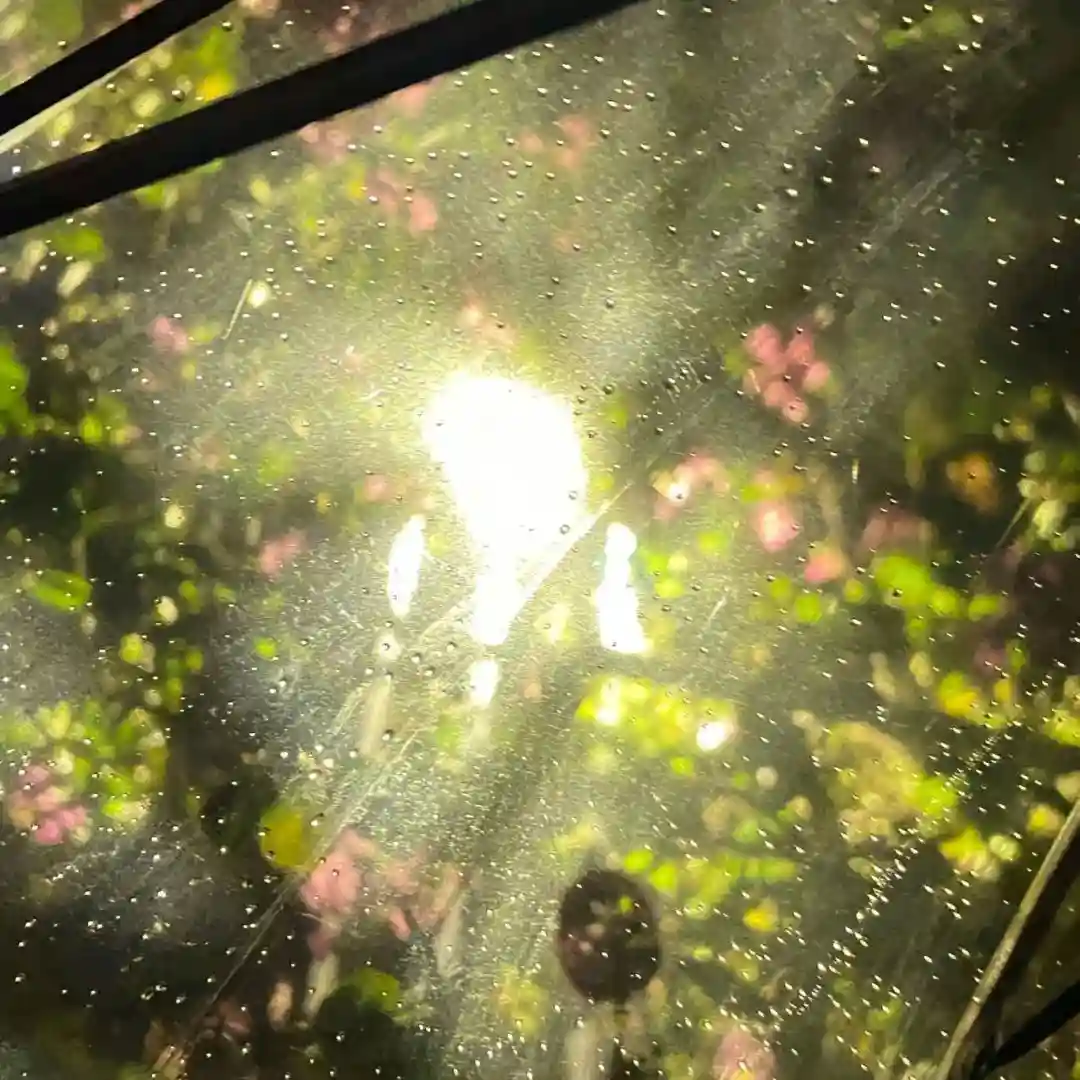 背景图 | 票圈背景图