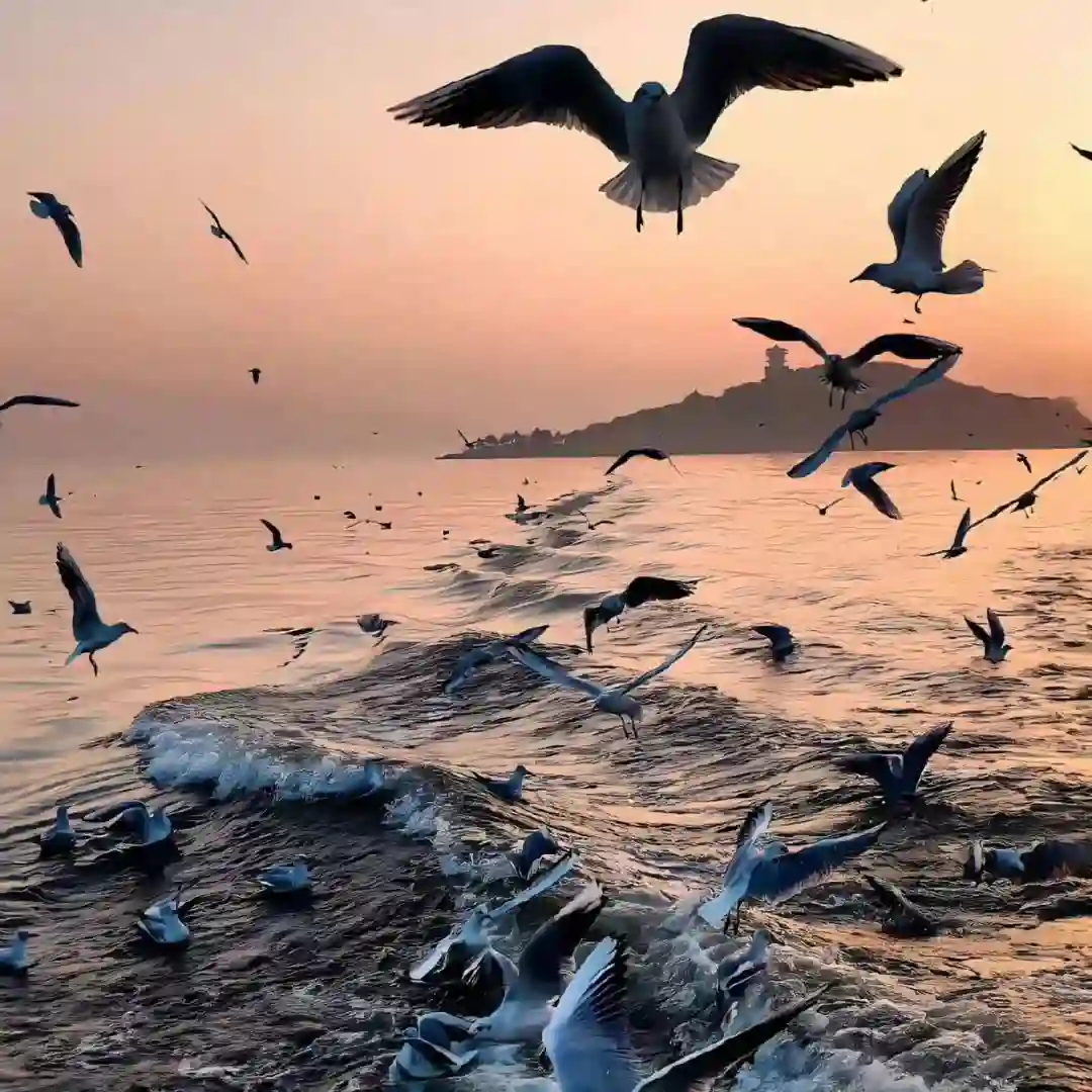 背景图 | 票圈背景图