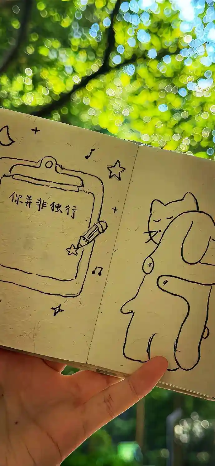 壁纸 | 手机壁纸