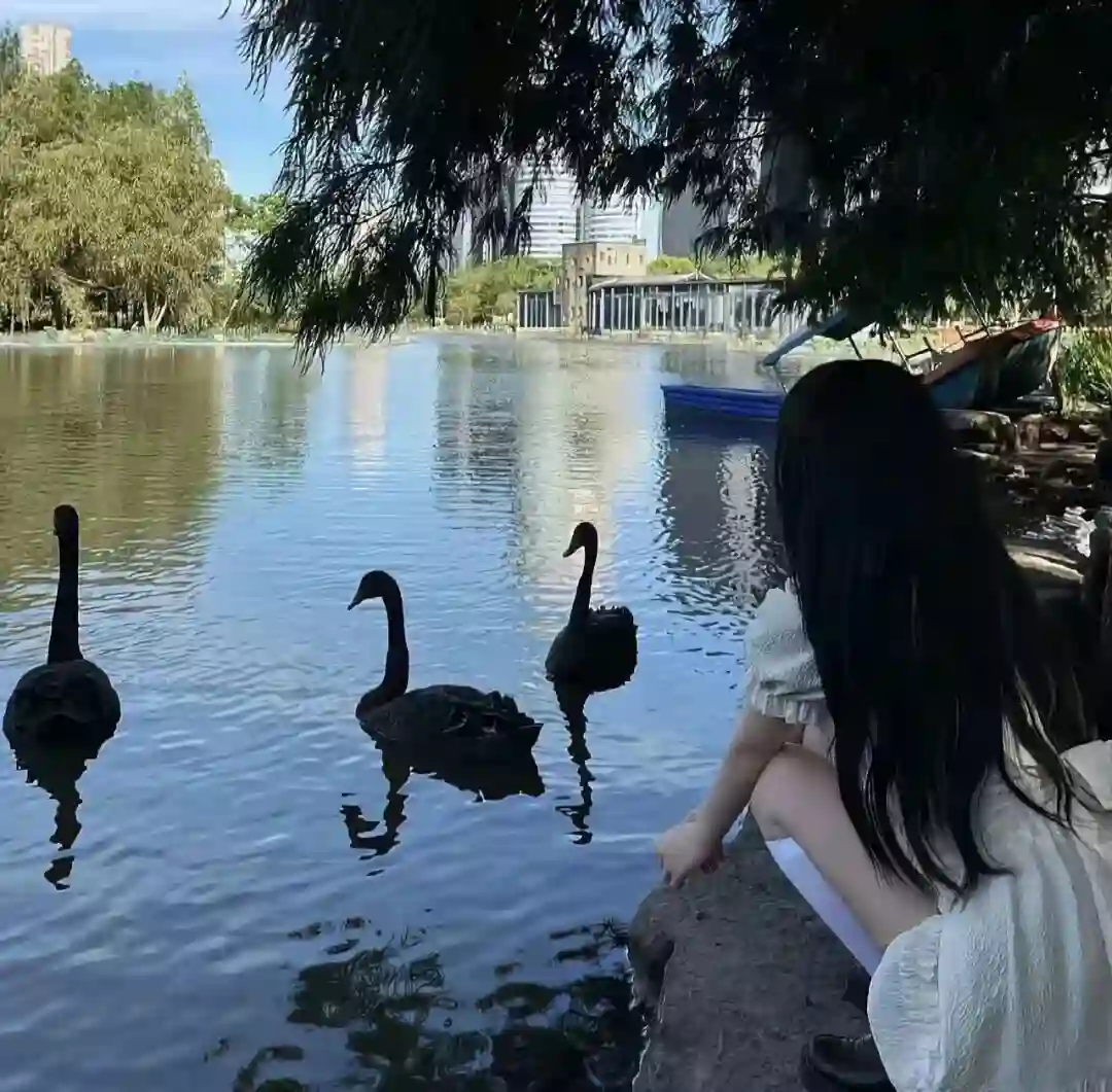 头像｜是时候换一拨情头了