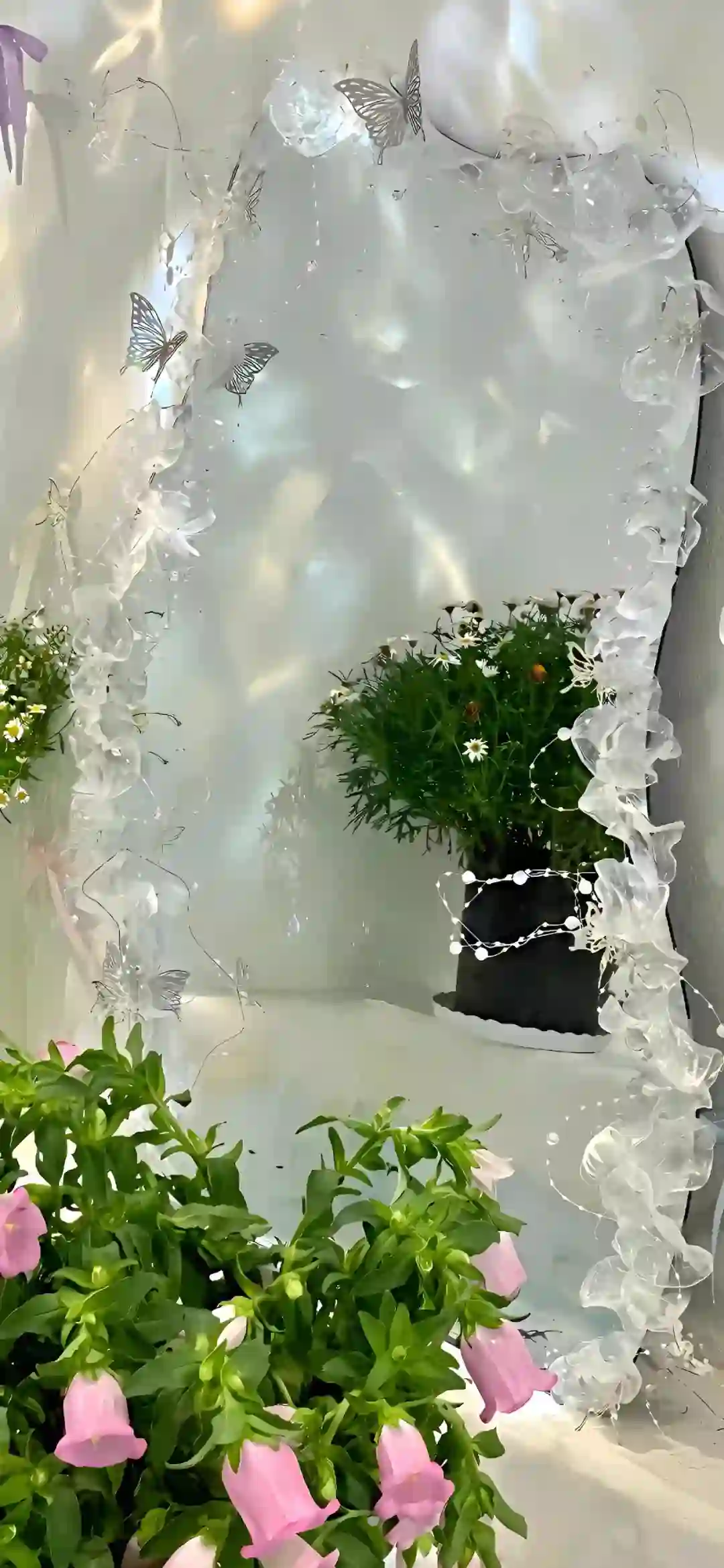 壁纸 | 优质壁纸