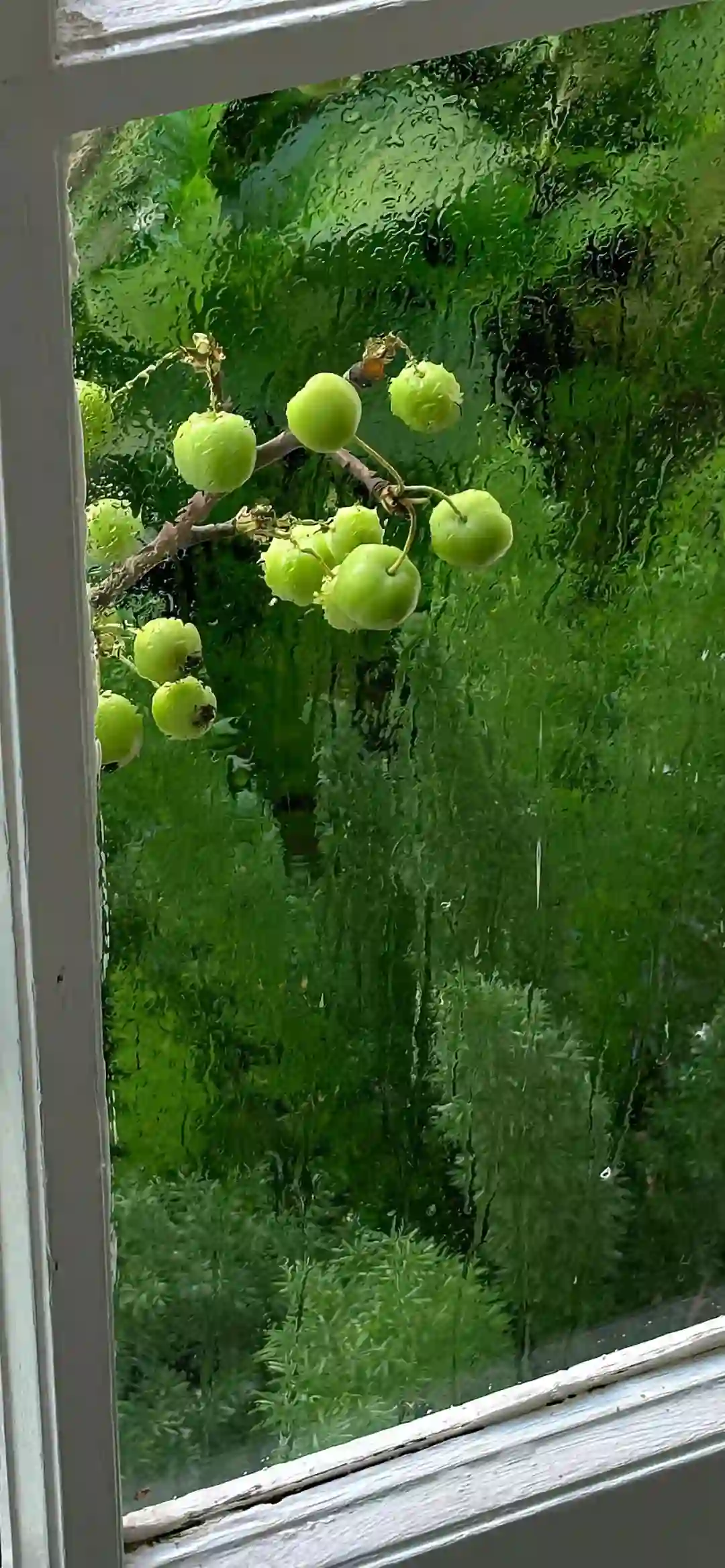 壁纸 | 优质壁纸