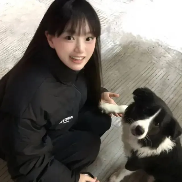 头像 | 一波微信头像来袭