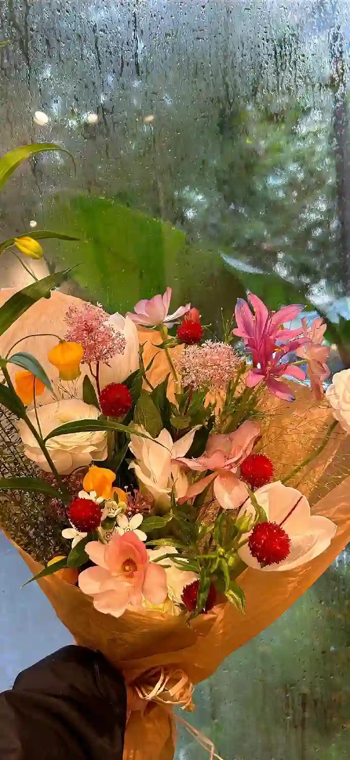 壁纸 | 手机壁纸