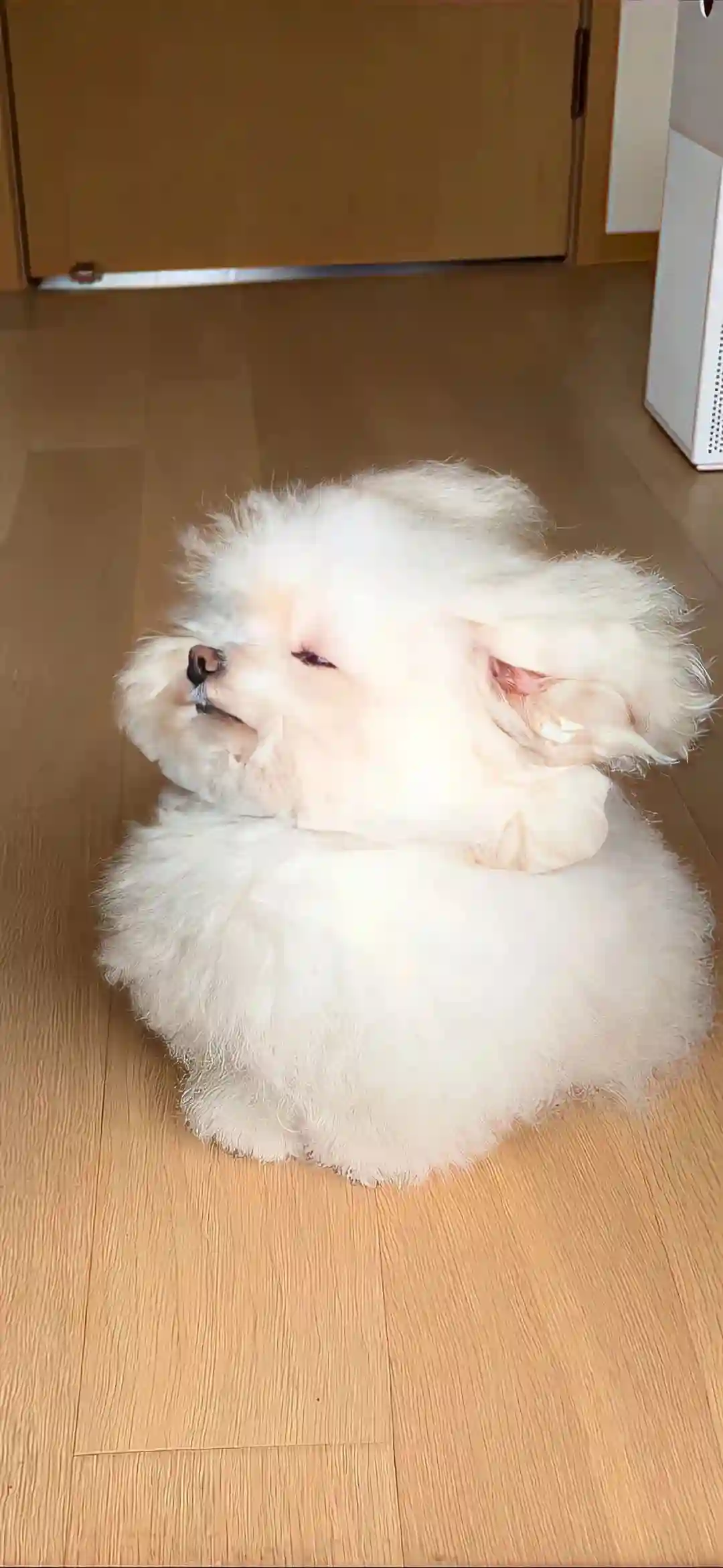 壁纸 | 手机壁纸