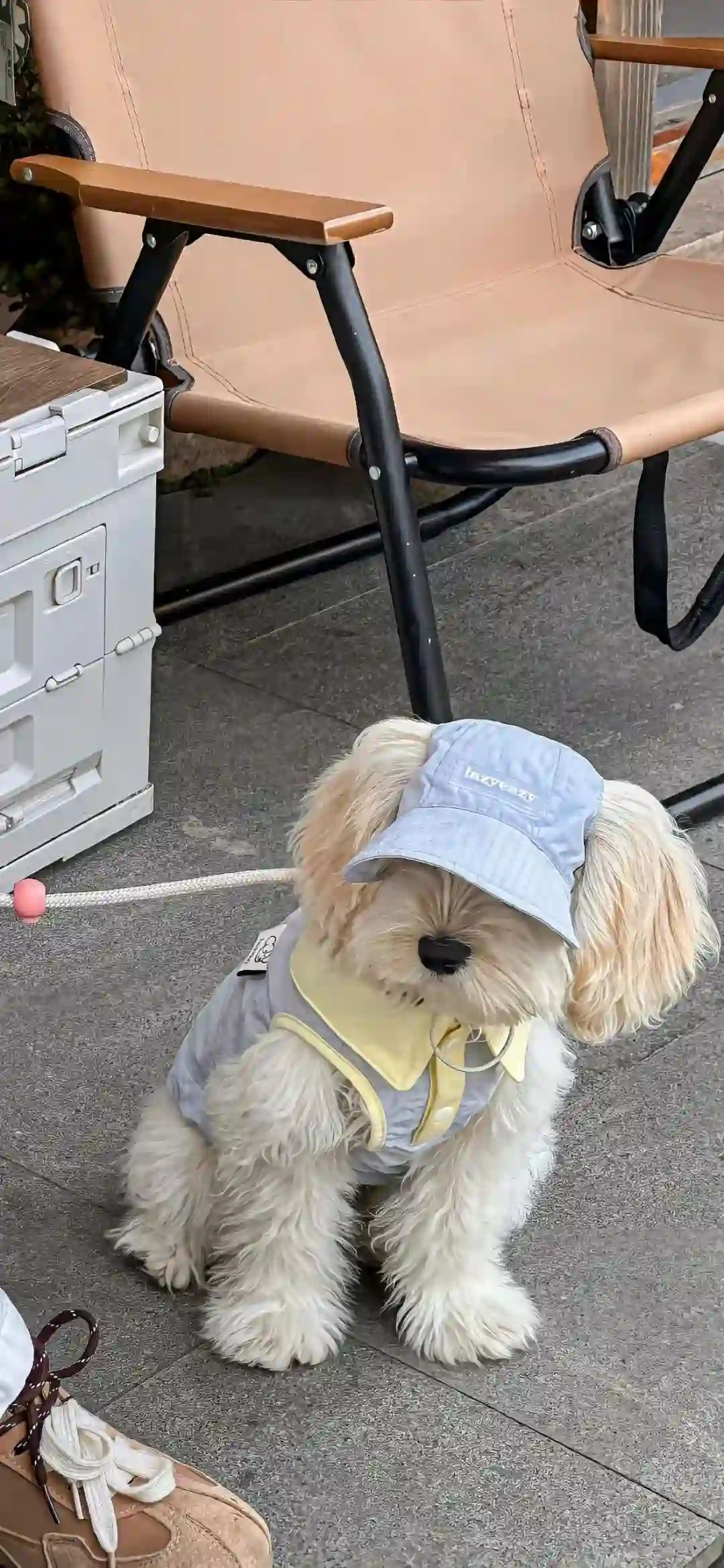 壁纸 | 手机壁纸