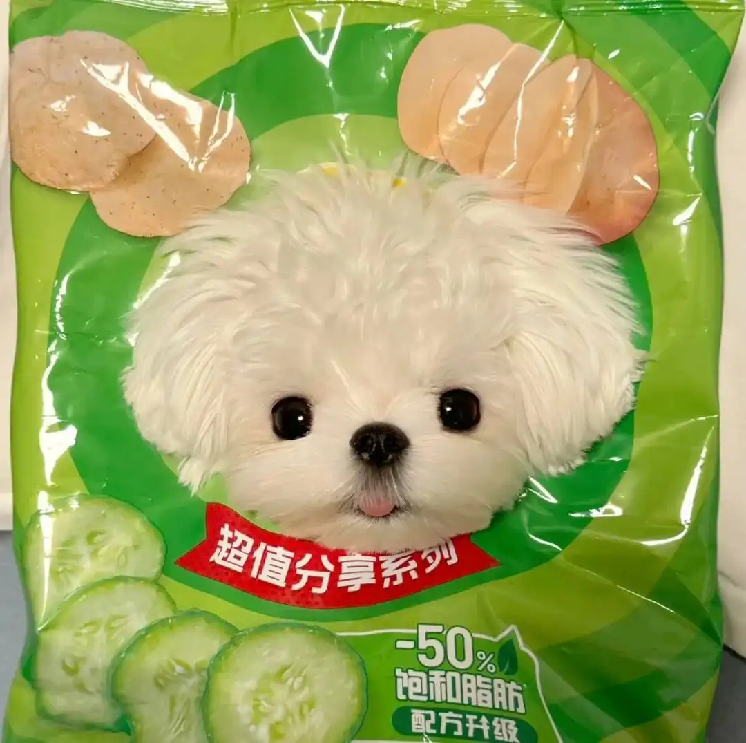 头像 | 适合长久不换的微信头像