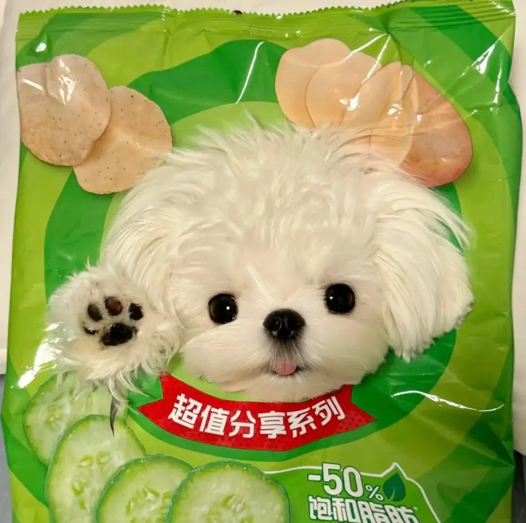 头像 | 适合长久不换的微信头像