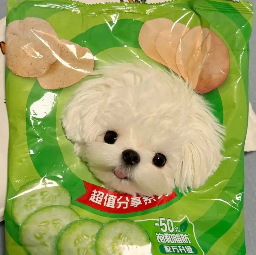 头像 | 适合长久不换的微信头像