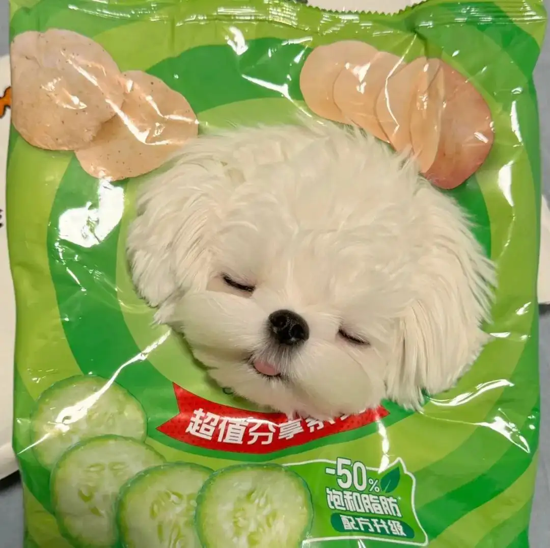 头像 | 适合长久不换的微信头像