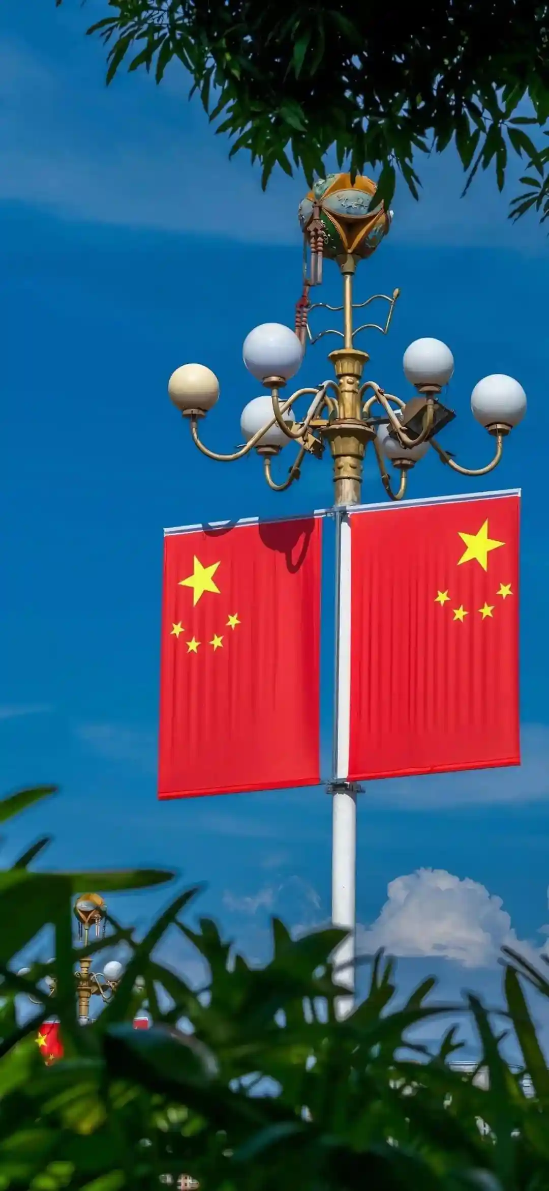 壁纸 | 手机壁纸