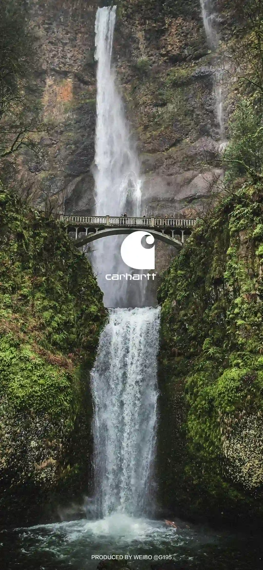 壁纸 | 手机壁纸