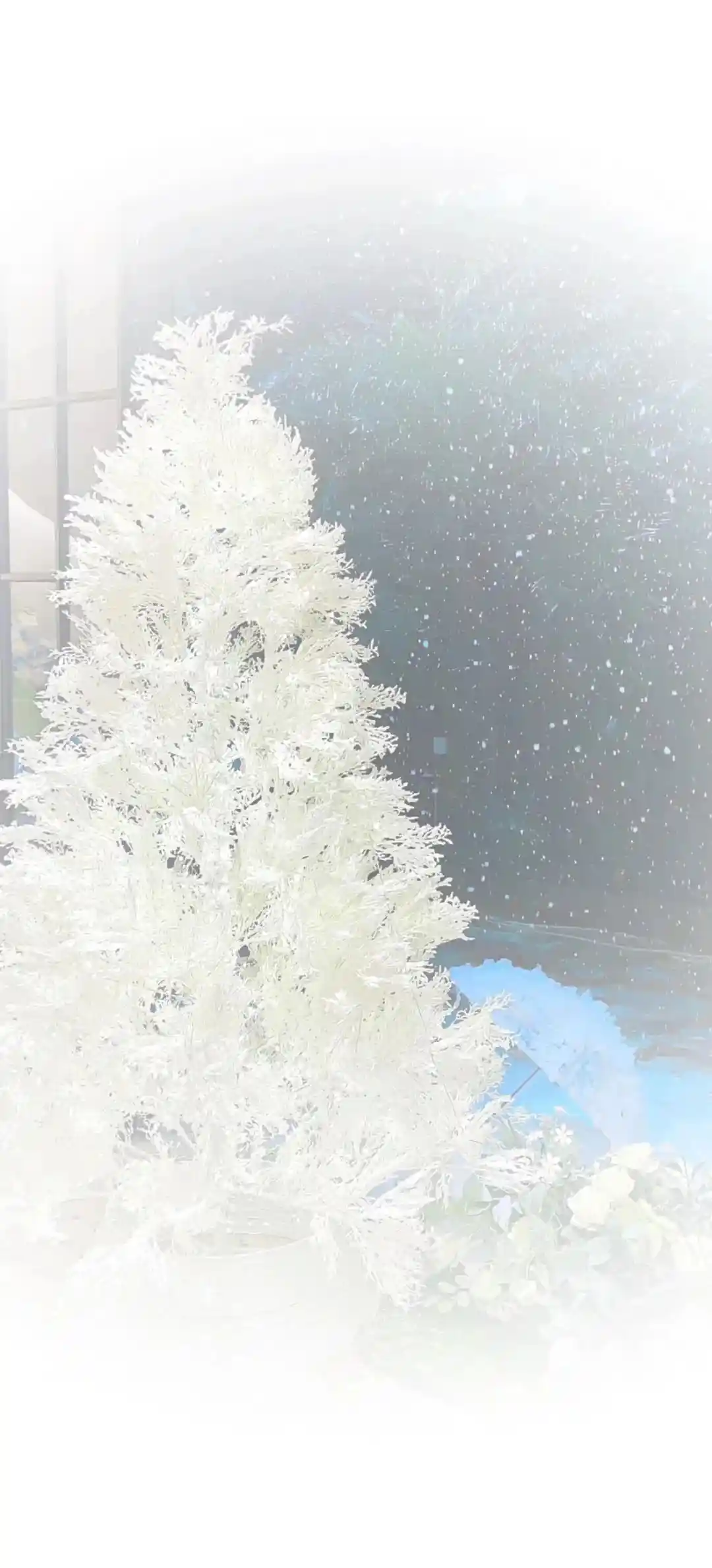 壁纸 | 手机壁纸