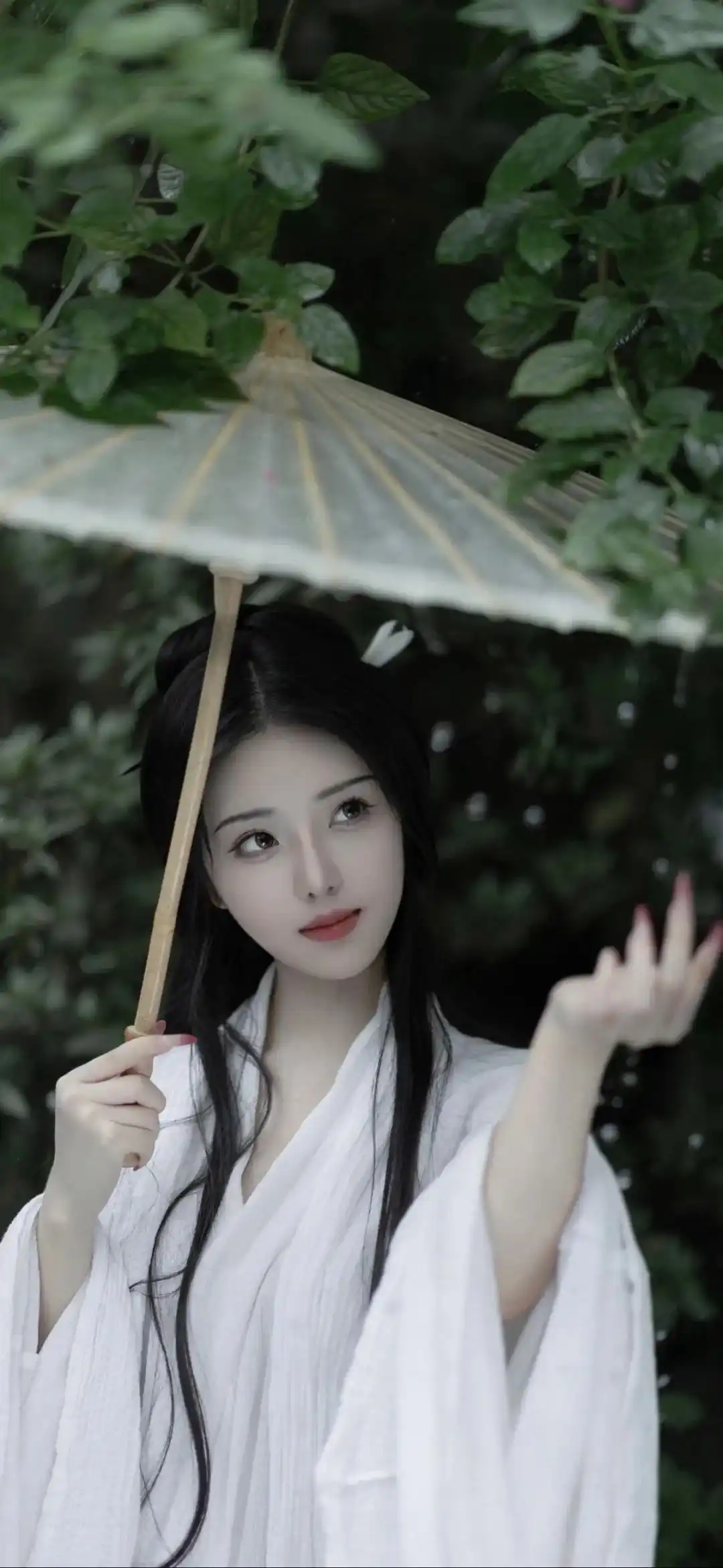 壁纸 | 手机全屏美女壁纸