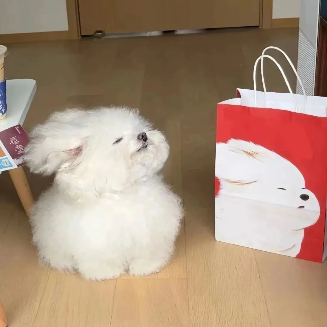 头像 | 适合长期不换的微信头像