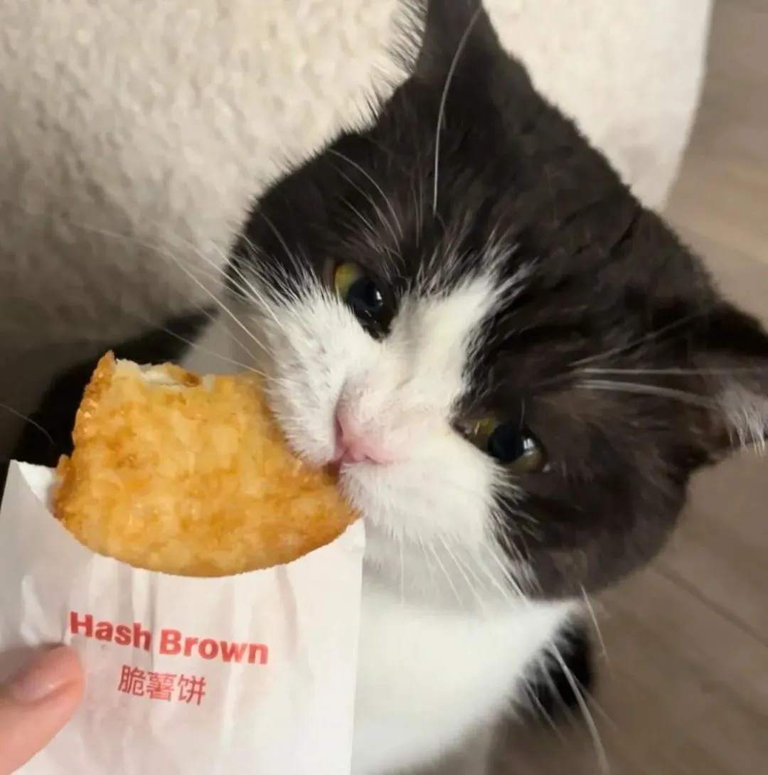 头像 | 适合长期不换的微信头像