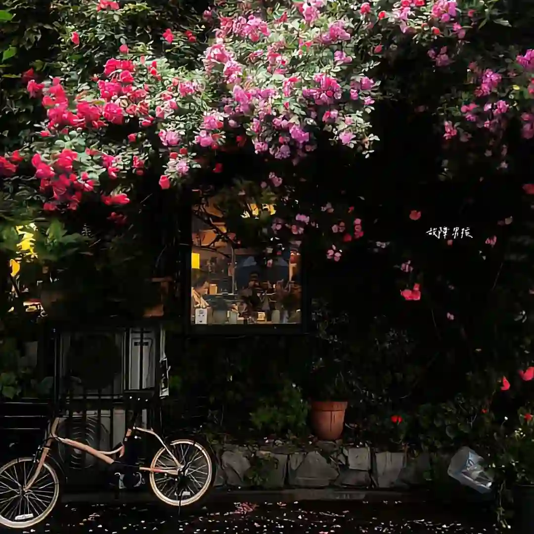背景图 | 背景图