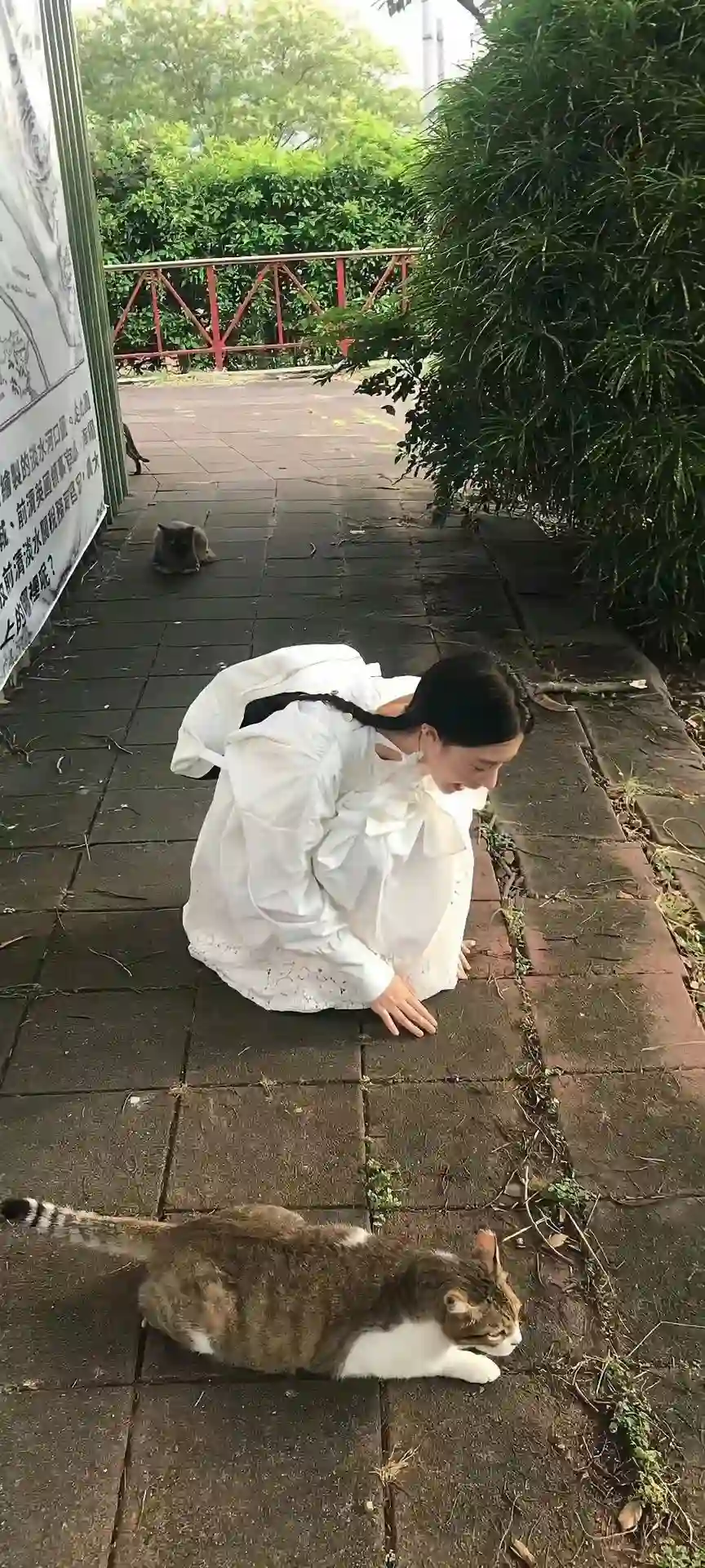 壁纸 | 收藏很久的ins壁纸