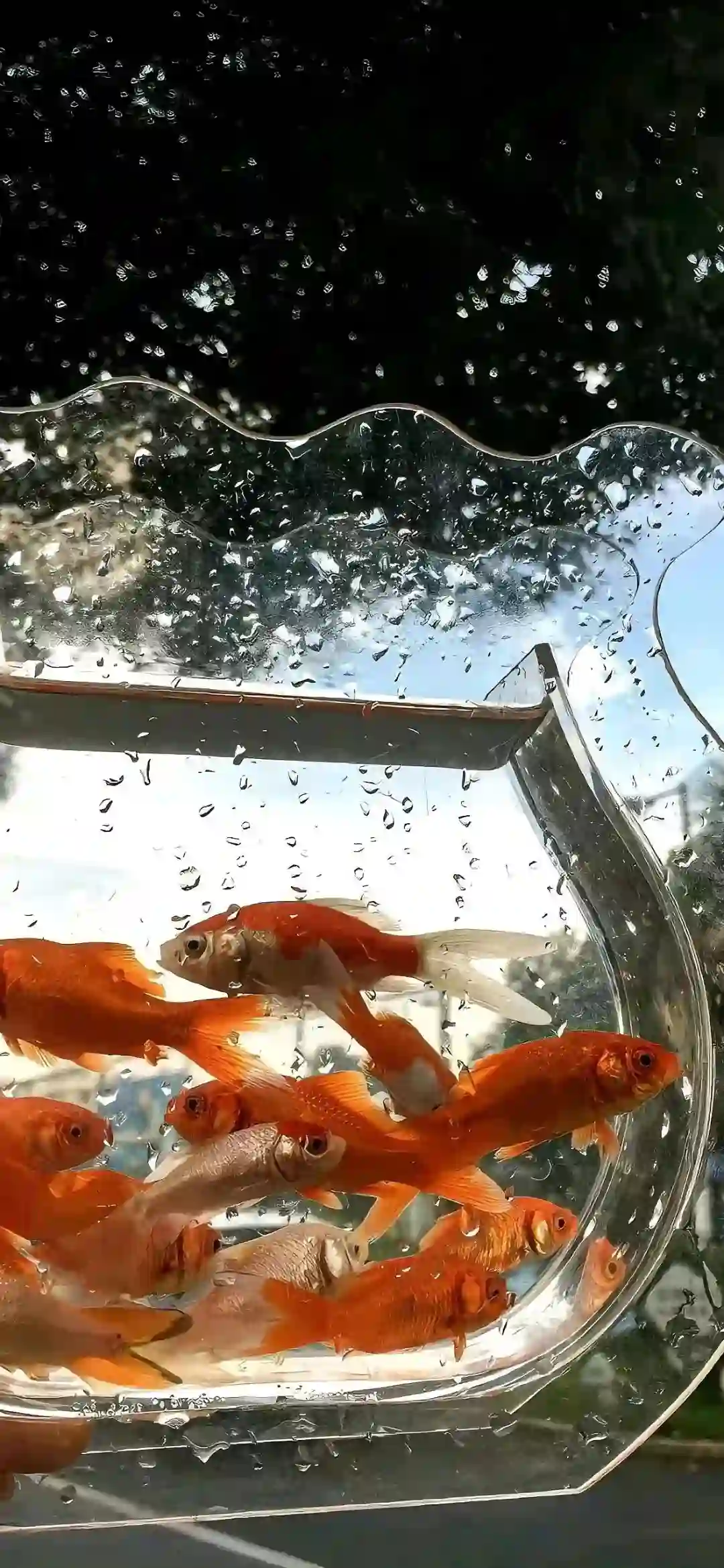 壁纸 | 收藏很久的ins壁纸