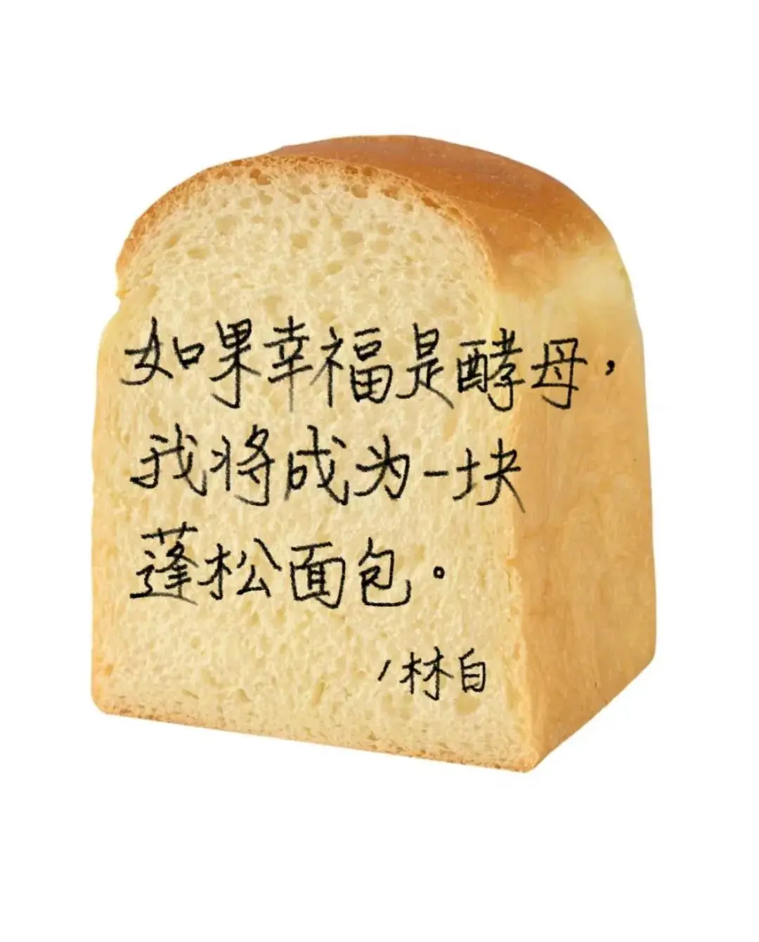 头像 | 微信新头像试试吧