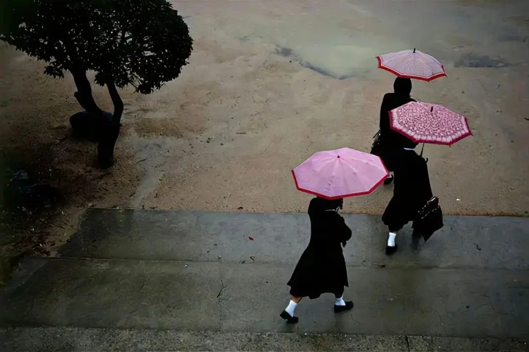 壁纸 | ipad&电脑壁纸