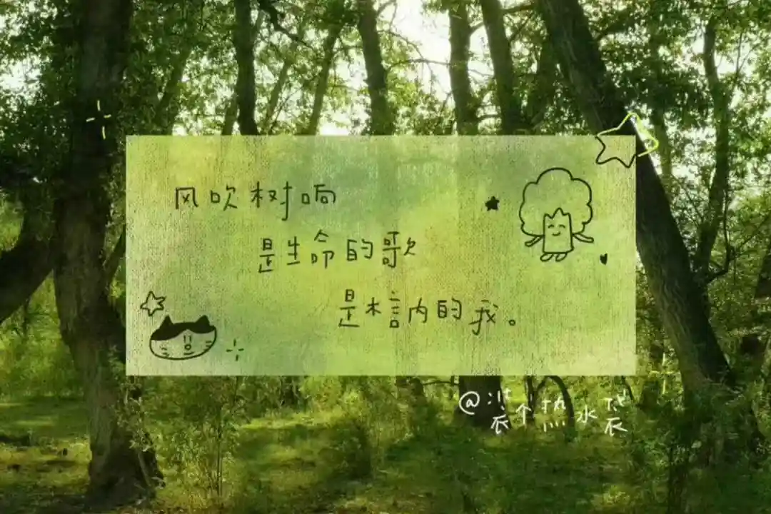 壁纸 | ipad&电脑壁纸
