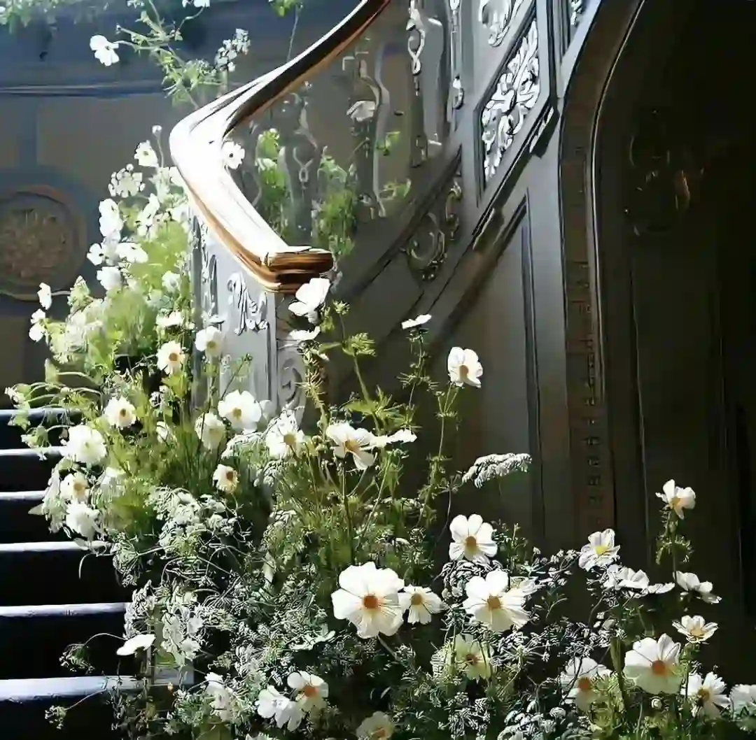 背景图 | 票圈背景图