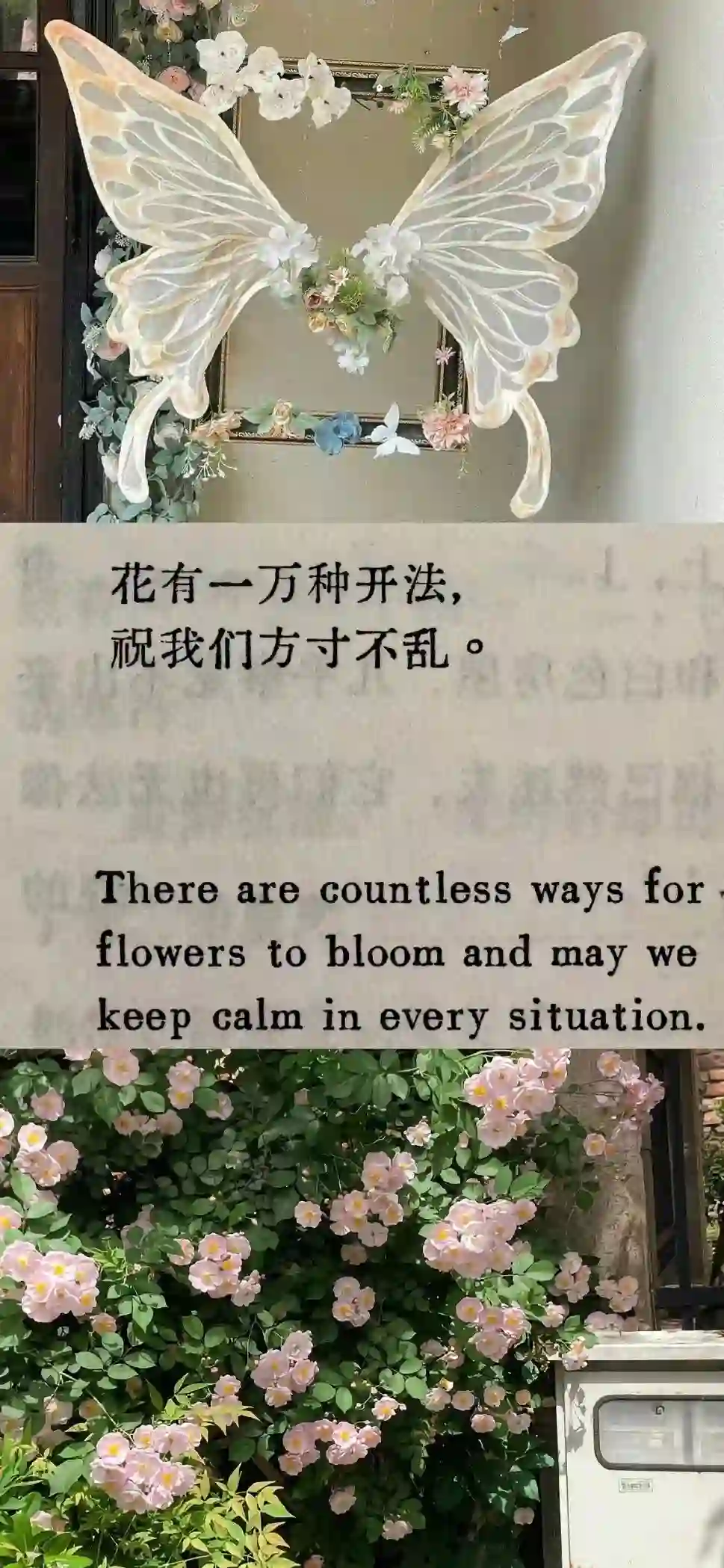 壁纸 | 高清全屏壁纸