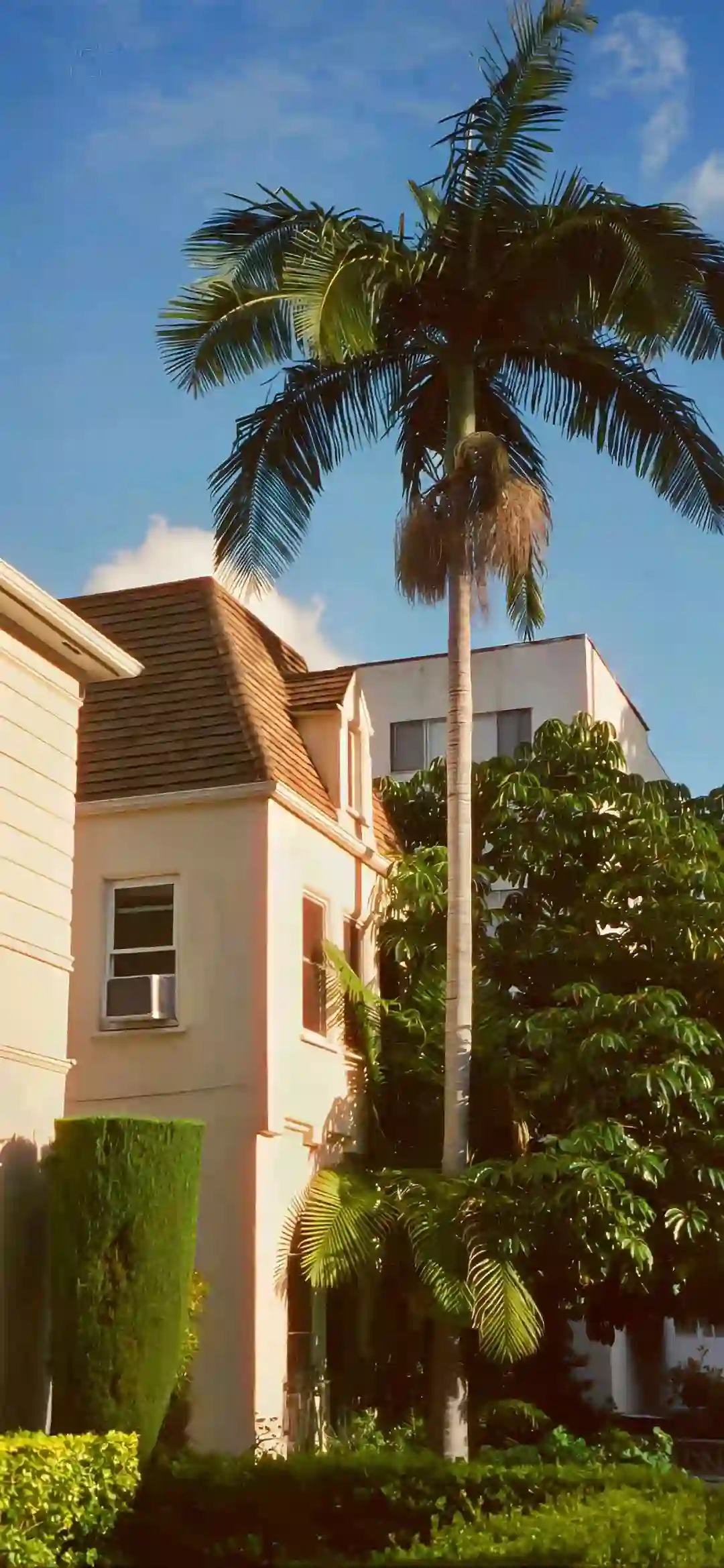 壁纸 | 高级质感ins壁纸​