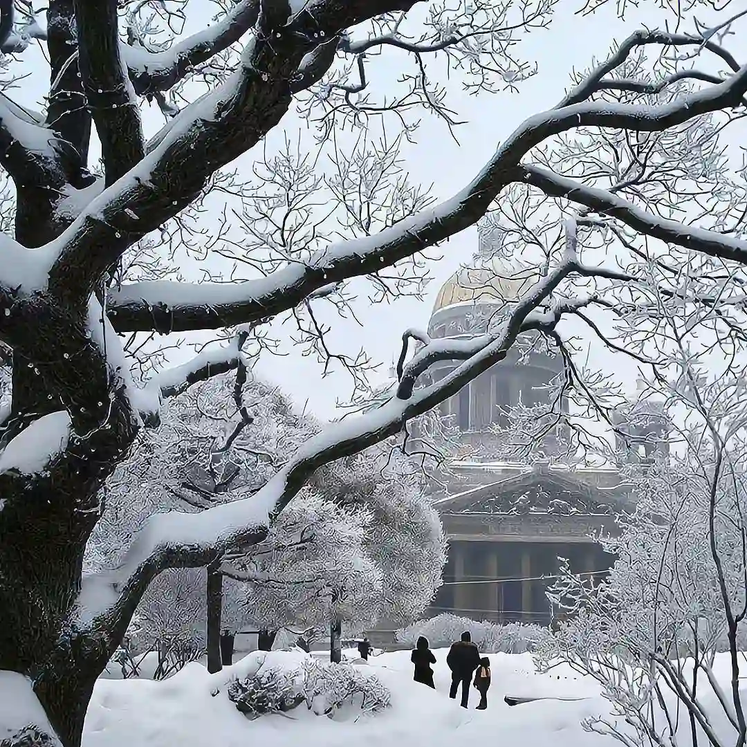 背景图 | 朋友圈背景图