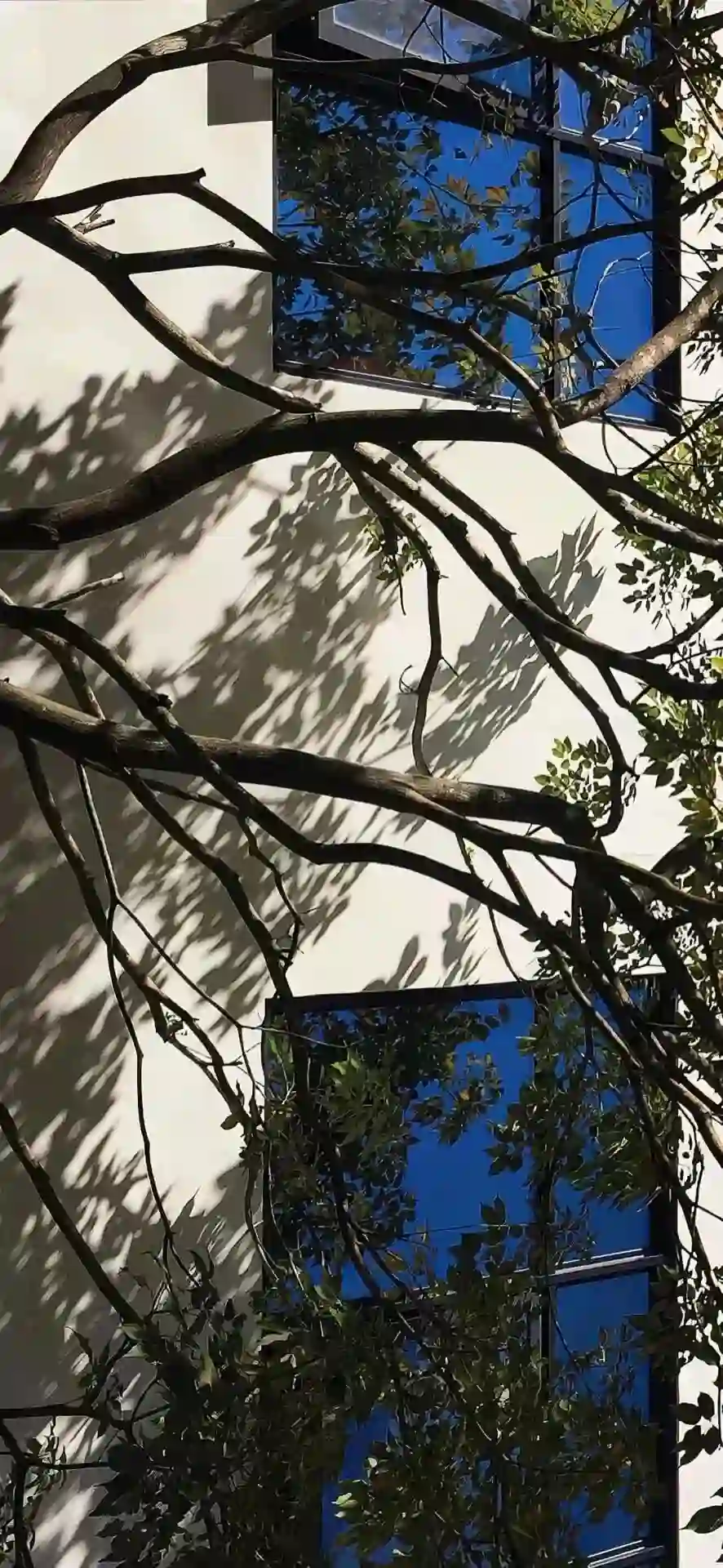 背景图 | 𝙒𝙚𝘾𝙝𝙖𝙩聊天背景图