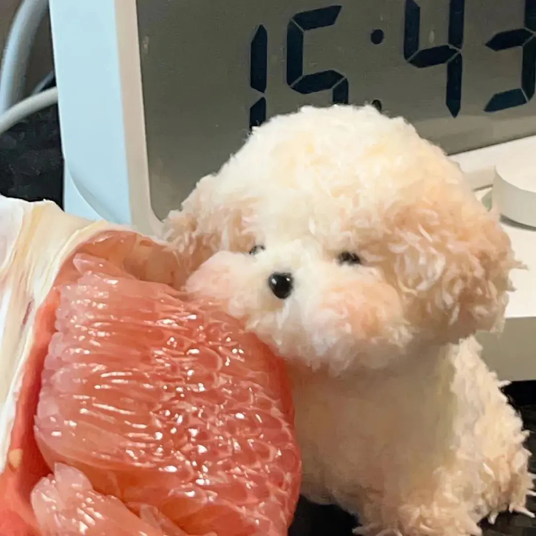头像 | 收集了一些可爱搞怪头像