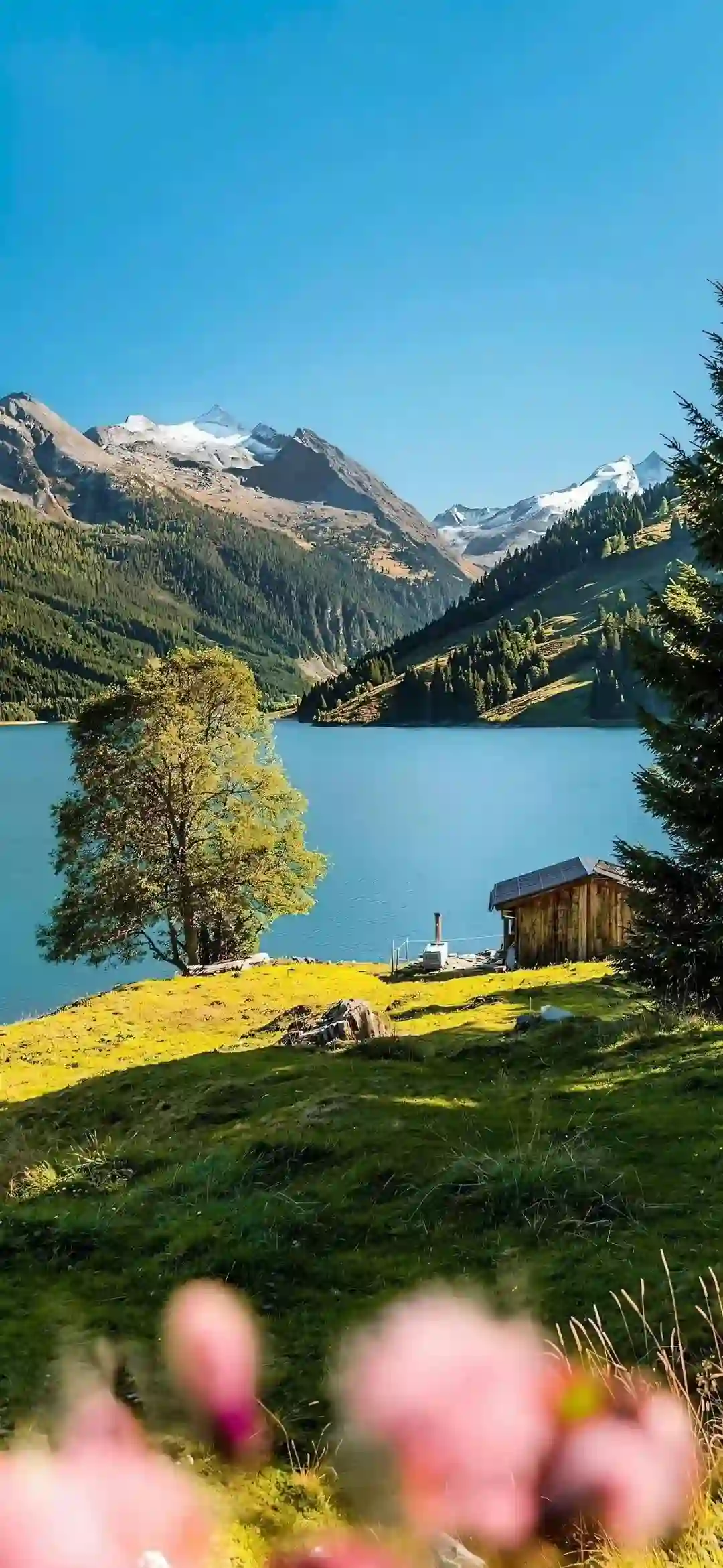 背景图 | 𝗪𝗲𝗖𝗵𝗮𝘁聊天背景图来啦