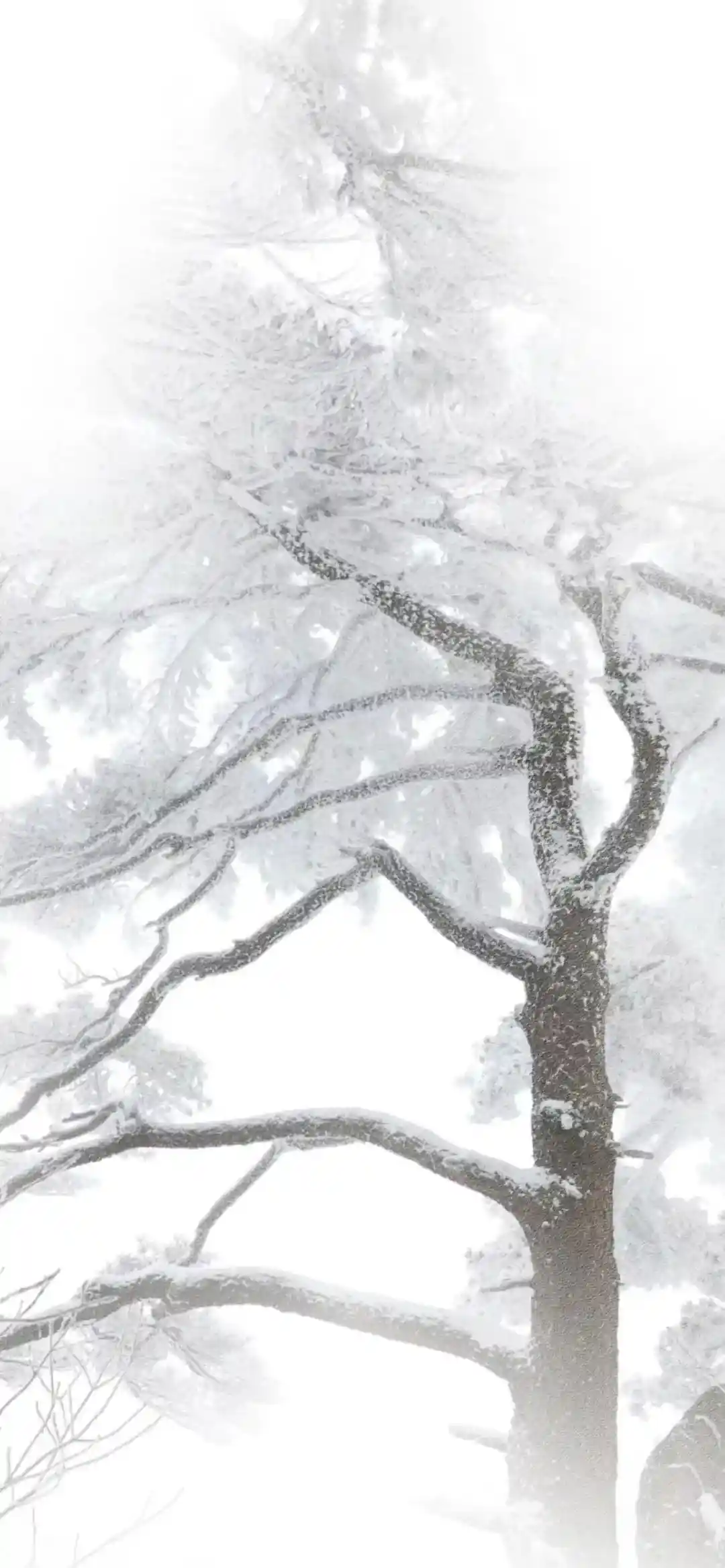 背景图 | 𝗪𝗲𝗖𝗵𝗮𝘁聊天背景图来啦