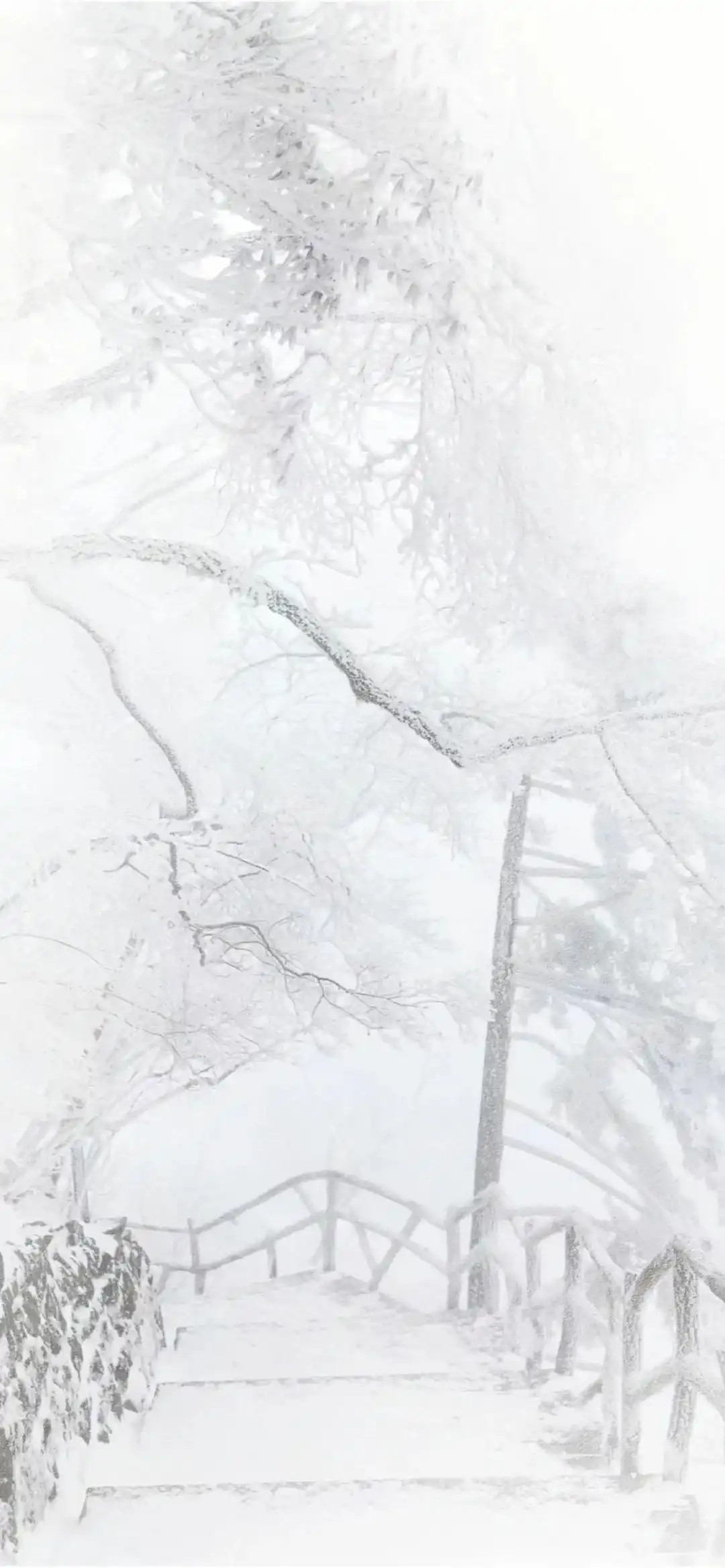 背景图 | 𝗪𝗲𝗖𝗵𝗮𝘁聊天背景图来啦